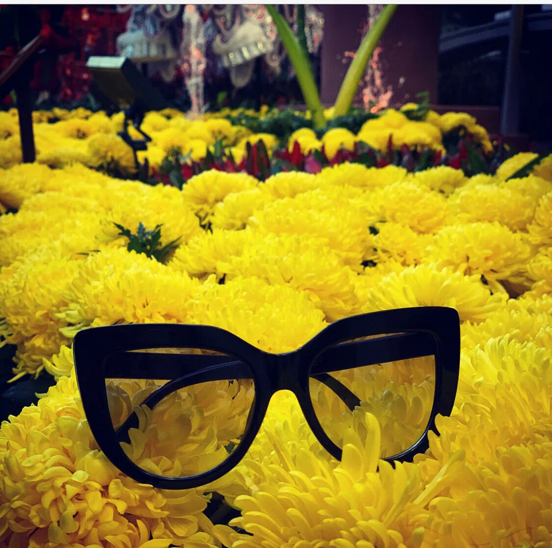 Black Oversized Cat Eye Gradient Designer Sunglasses