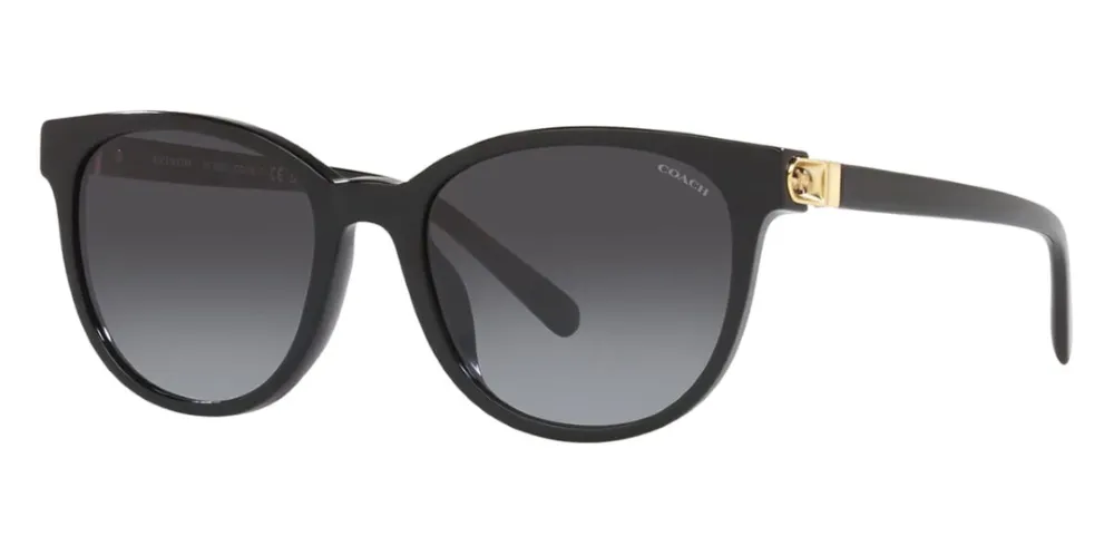 Coach Round Non-Polarized Sunglasses - Black/Gray Gradient