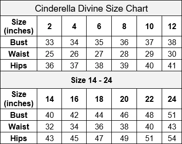 Fitted Satin Gown with Gloves by Cinderella Divine CD979