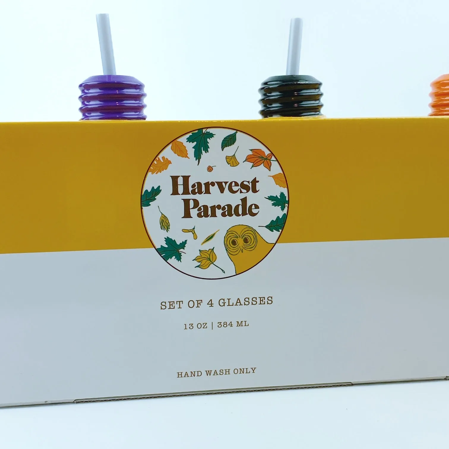 Harvest Parade Light Bulb Shaped Glass Bottle Drinking Glasses With Straws