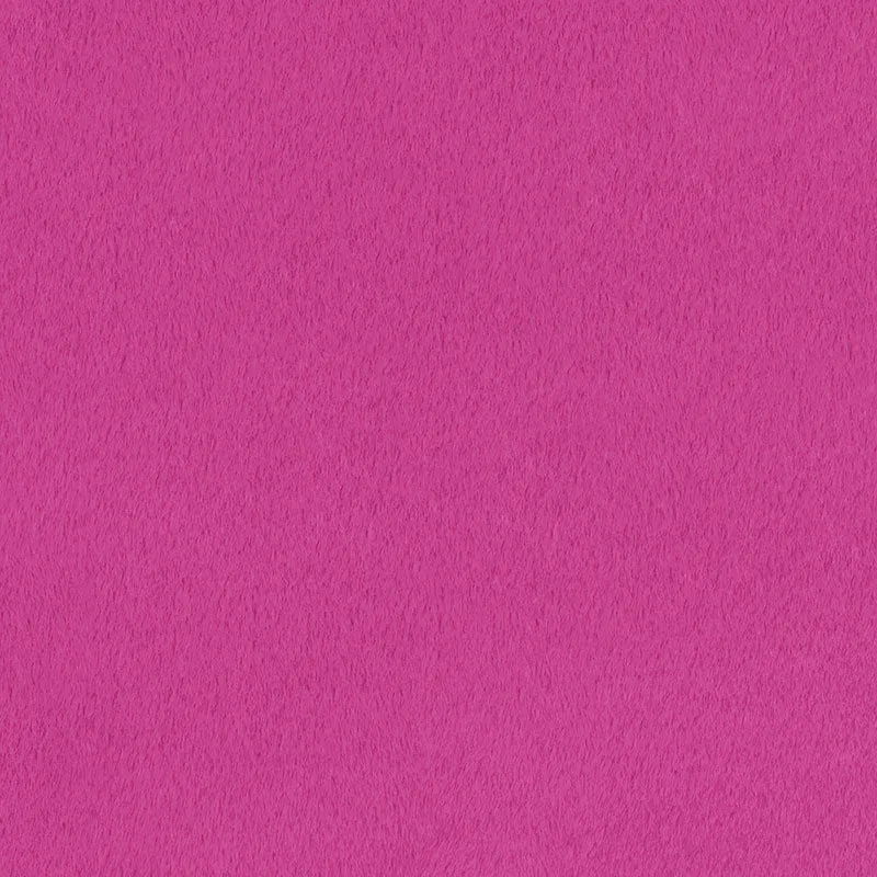 Luxe Cuddle® - Seal Raspberry Yardage