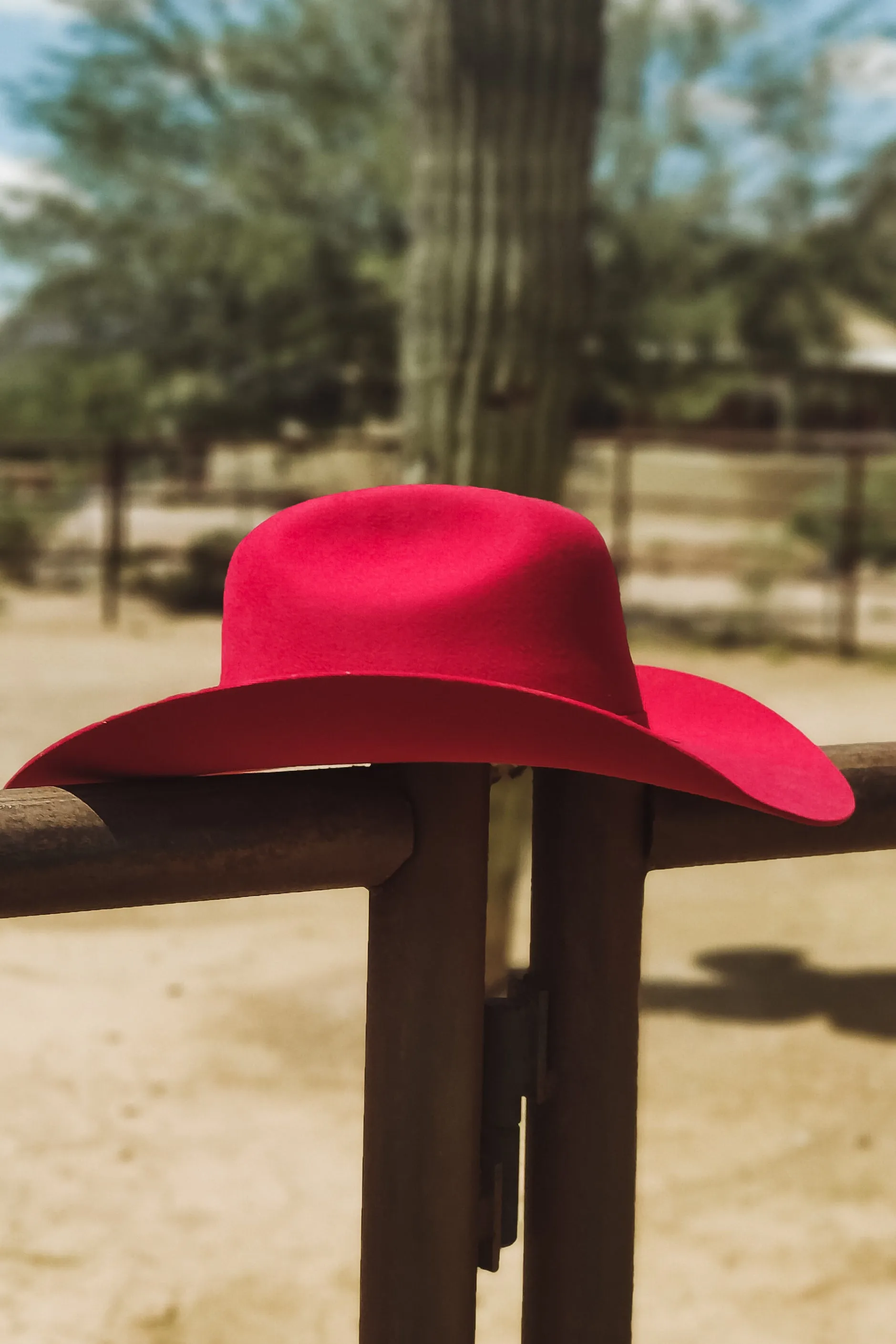 Rodeo Royalty 4x Felt in Scarlet