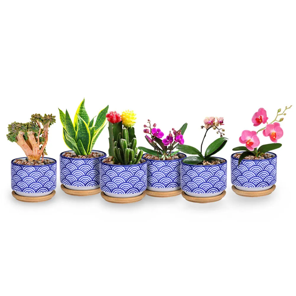 Small Glazed Ceramic Decorative Flower Pots