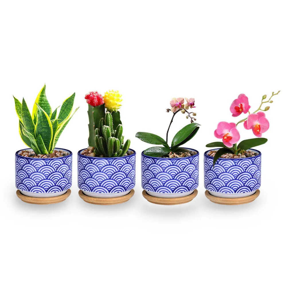 Small Glazed Ceramic Decorative Flower Pots