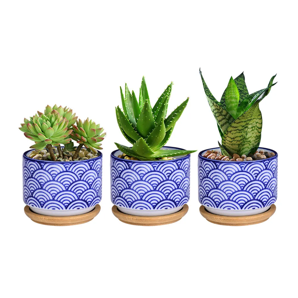 Small Glazed Ceramic Decorative Flower Pots