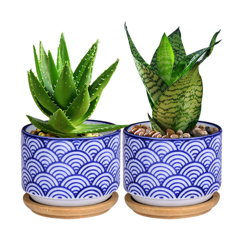 Small Glazed Ceramic Decorative Flower Pots